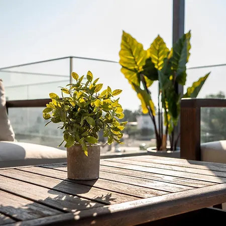 Koasis Augmented Smart Boutique Apartment Kos Town